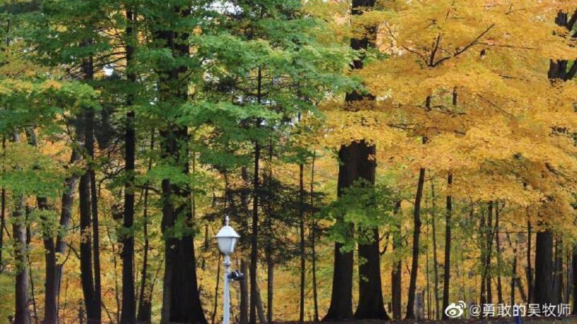 梓豪代网涨快手：网络服务平台新趋势引关注